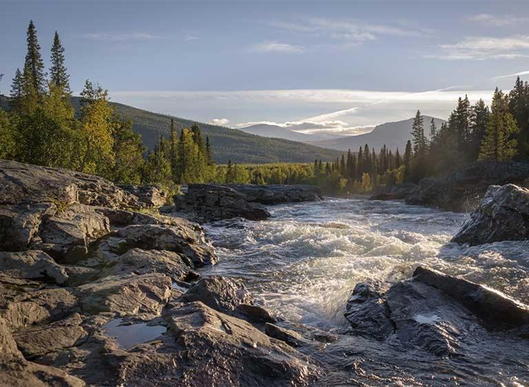 Lyxig Stuga Pa Branaesberget Sysslebäck Dış mekan fotoğraf